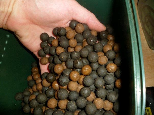 diverse - 3028183999062226952382247201n1.jpg